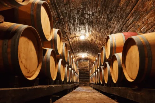 Wine barrels in cellar